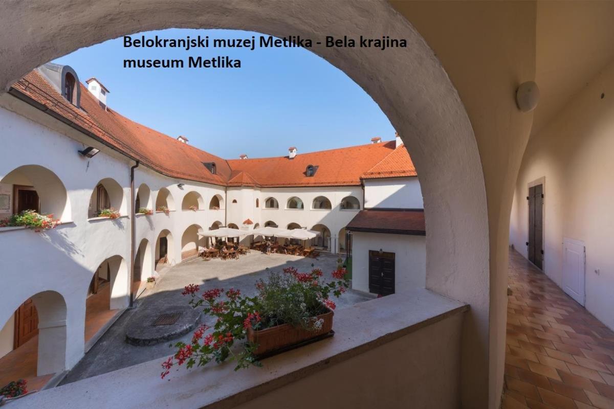Apartment Ma&Ja With Hot Tub Metlika Dış mekan fotoğraf
